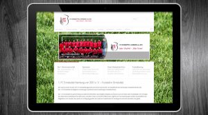 1. FC Eimsbüttel - Fussball Hamburg - Webdesign